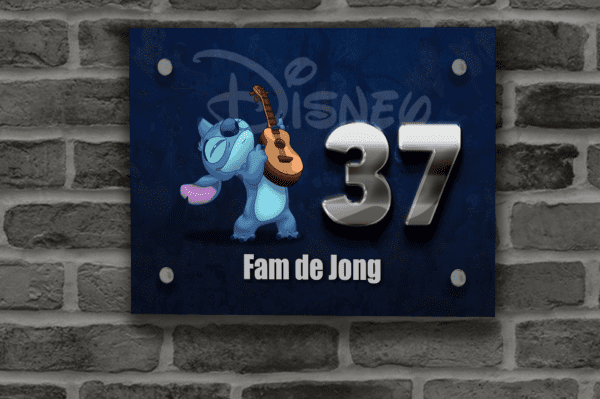 Disney Naambordje 12