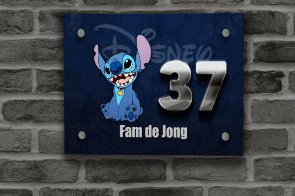 Disney Naambordje 13