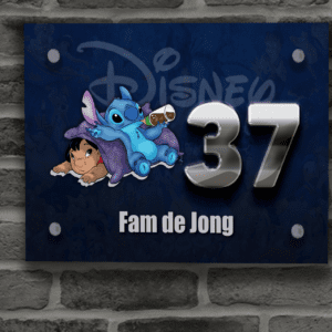 Disney Naambordje 16