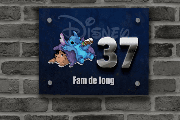 Disney Naambordje 16