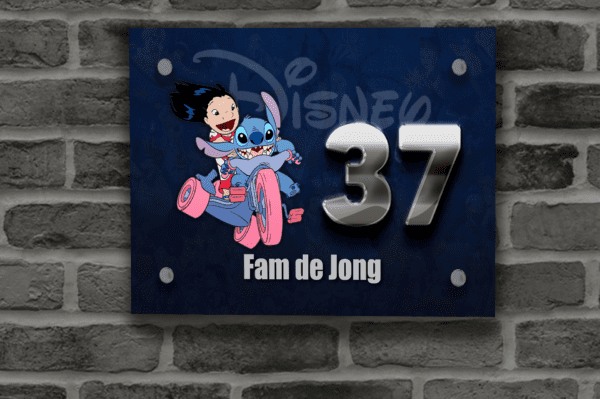 Disney Naambordje 18