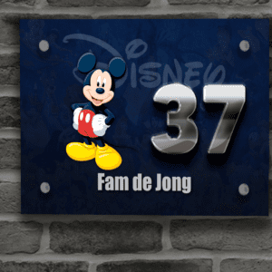 Disney Naambordje 21