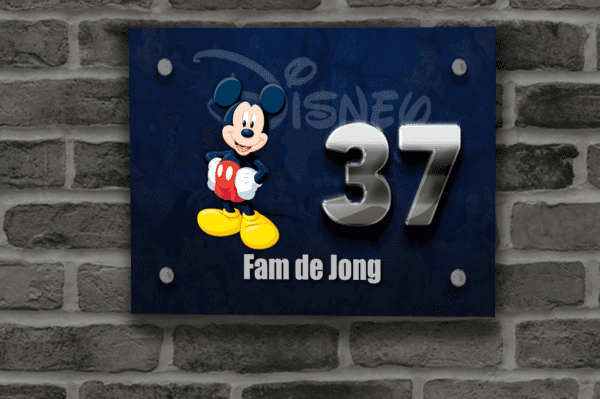 Disney Naambordje 21