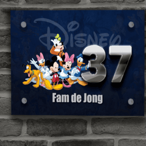Disney Naambordje 22