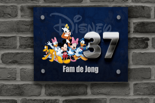 Disney Naambordje 22