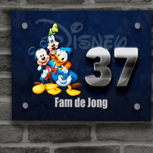 Disney Naambordje 23