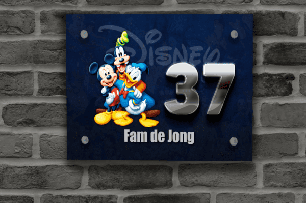 Disney Naambordje 23