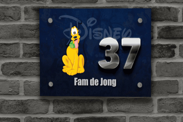 Disney Naambordje 24