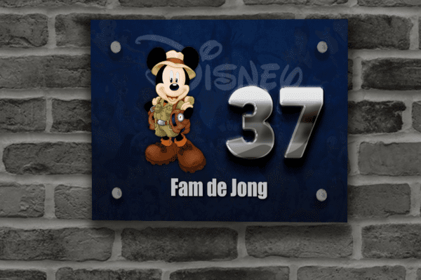 Disney Naambordje 25