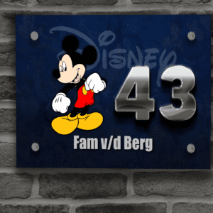 Disney Naambordje 26