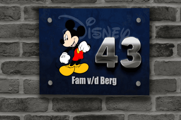 Disney Naambordje 26