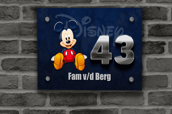 Disney Naambordje 28