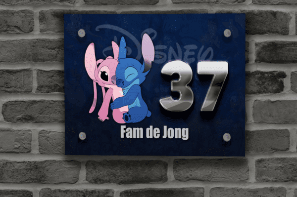 Disney Naambordje 6