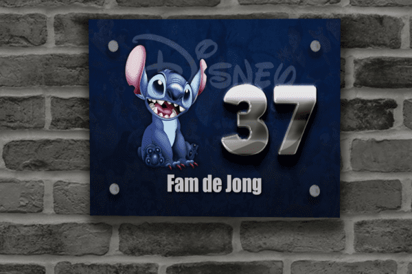 Disney Naambordje 8