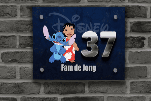 Disney Naambordje 10