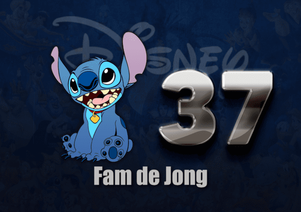 Disney Naambordje 13