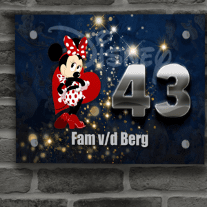 Disney Naambordje 39