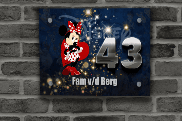 Disney Naambordje 39