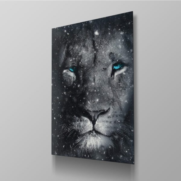 Lion Snow Blue Eyes