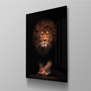 Lion Spotlight