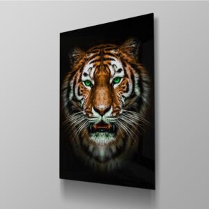 Tiger On Black