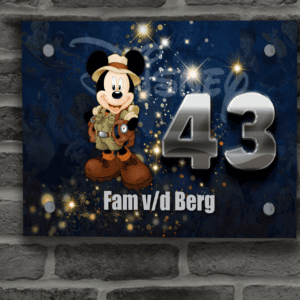 Disney Naambordje 51