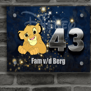 Disney Naambordje 54