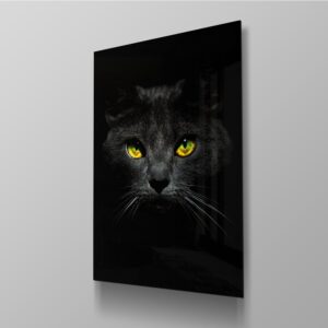 Cat On Black