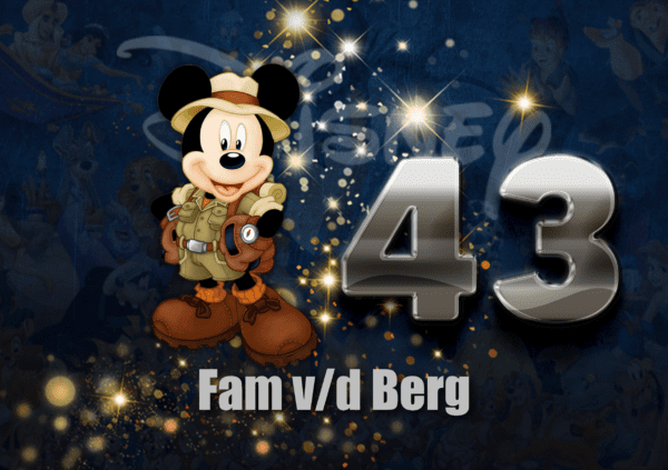 Disney Naambordje 51