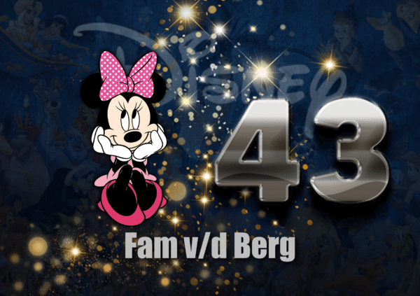 Disney Naambordje 81