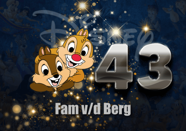 Disney Naambordje 53