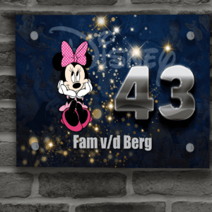 Disney Naambordje 81