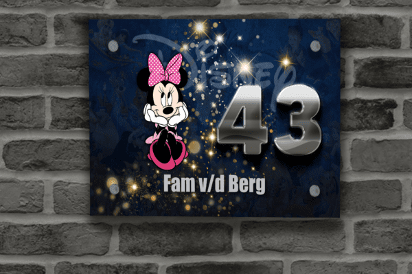 Disney Naambordje 81