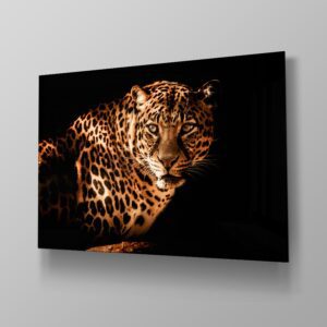 Leopard On Black