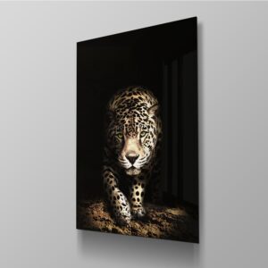 Leopard Spotlight