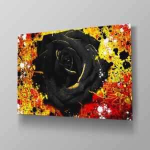 Black Fire Rose